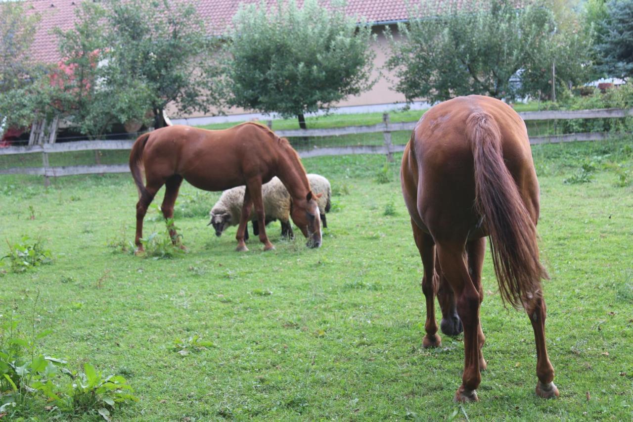 NaposOldal Vendégház Tapolca Kültér fotó